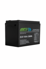 24v 100a antfea